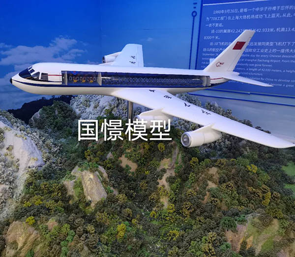阜康市飞机模型